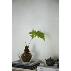ROSENDAHL COPENHAGEN PENTA Ball S